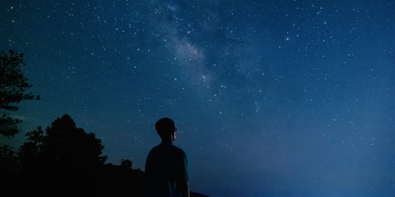 The Cosmos Within